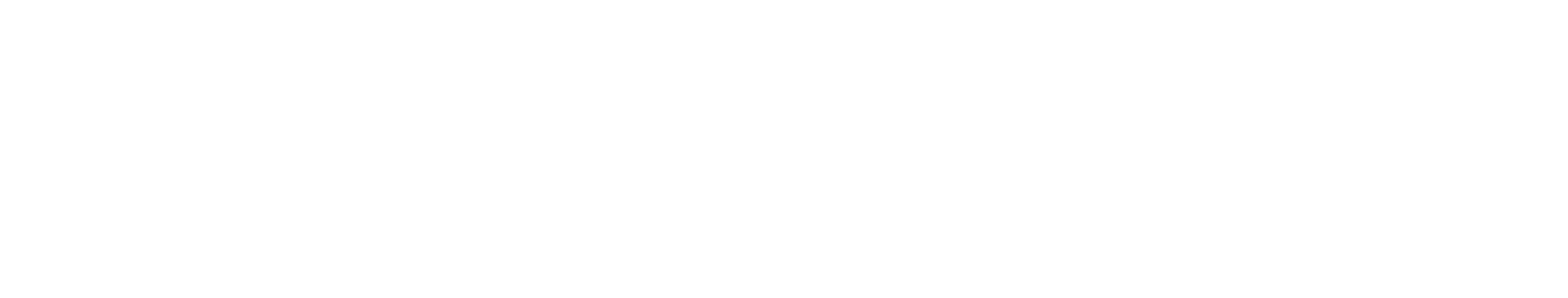 Solven AI