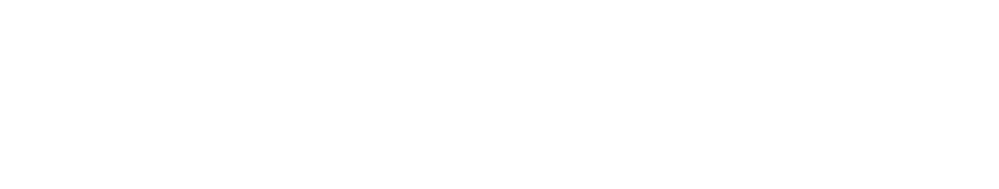 Solven AI